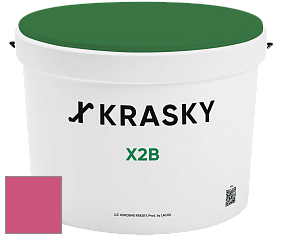 Краска X2B X Krasky глубокоматовая краска для потолков цвет NCS S 1070-R20B 