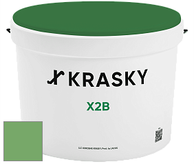 Краска X2B X Krasky глубокоматовая краска для потолков цвет NCS S 2050-G20Y 