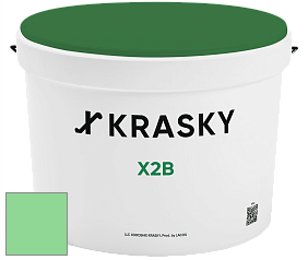 Краска X2B X Krasky глубокоматовая краска для потолков цвет NCS S 0550-G10Y 