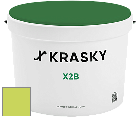 Краска X2B X Krasky глубокоматовая краска для потолков цвет NCS S 0560-G50Y 