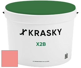 Краска X2B X Krasky глубокоматовая краска для потолков цвет NCS S 0550-Y90R 