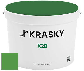 Краска X2B X Krasky глубокоматовая краска для потолков цвет NCS S 2070-G20Y 