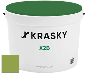 Краска X2B X Krasky глубокоматовая краска для потолков цвет NCS S 2060-G40Y 