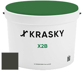Краска X2B X Krasky глубокоматовая краска для потолков цвет NCS S 8505-G50Y 