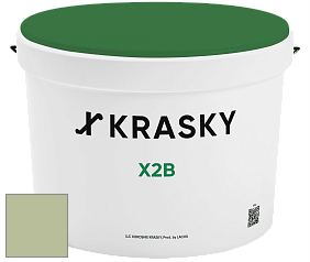 Краска X2B X Krasky глубокоматовая краска для потолков цвет NCS S 2020-G40Y 