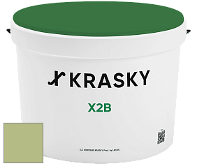 Краска X2B X Krasky глубокоматовая краска для потолков цвет NCS S 2030-G50Y 