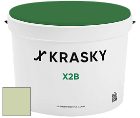 Краска X2B X Krasky глубокоматовая краска для потолков цвет NCS S 1020-G40Y 