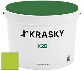 Краска X2B X Krasky глубокоматовая краска для потолков цвет NCS S 0575-G40Y 