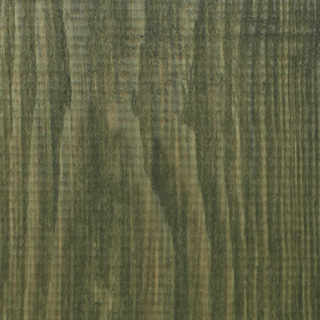 U-818 / Spruce Forest